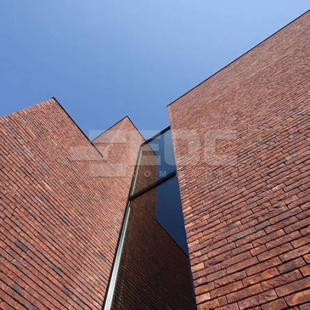 Цегла ручного формування Vandersanden 47 Salvia Gesinteld WF 210x100x50