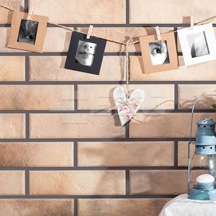 Клинкерная фасадная плитка Retro brick Masala 245х65х8 