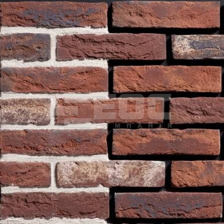 Кирпич ручной формовки Engels Kameleon WF 210x100x50