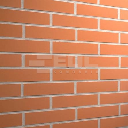 Клинкерная фасадная плитка R220 LDF14 290x52x14