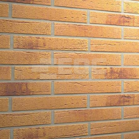 Клінкерна фасадна плитка R287 LDF14 290x52x14