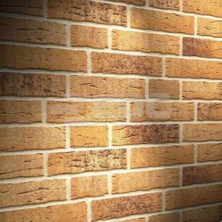 Клинкерная фасадная плитка R665 DF11 240x52x11