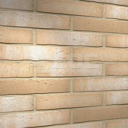 Клінкерна фасадна плитка R730 LDF14 290x52x14