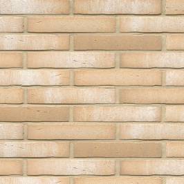 Клінкерна фасадна плитка R730 LDF14 290x52x14