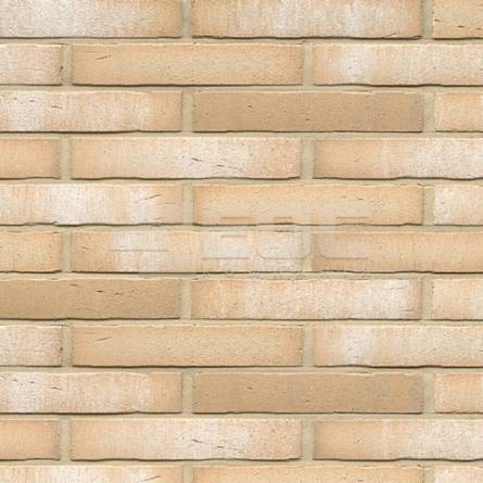 Клінкерна фасадна плитка R730 LDF14 290x52x14