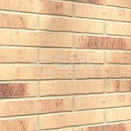 Клинкерная фасадная плитка R742 LDF14 290x52x14