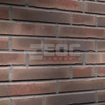 Клінкерна фасадна плитка R748 LDF14 290x52x14