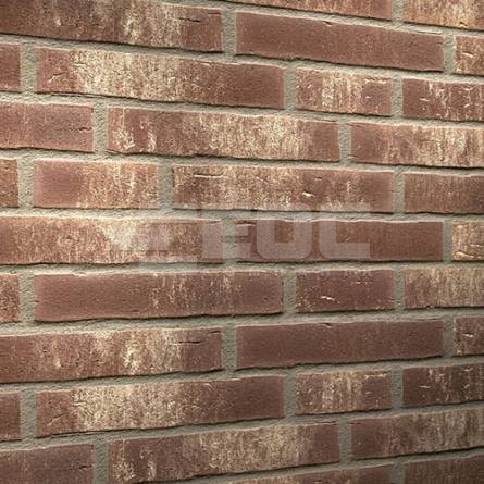 Клинкерная фасадная плитка R749 LDF14 290x52x14