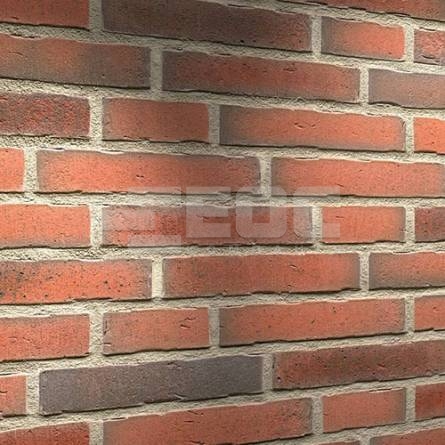 Клинкерная фасадная плитка R768 LDF14 290x52x14