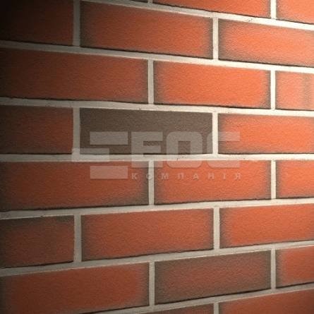 Клинкерная фасадная плитка R303 LDF14 290x52x14
