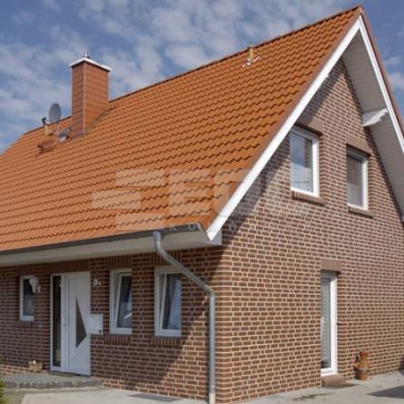 Клинкерная фасадная плитка R400 LDF14 290x52x14