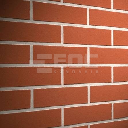 Клинкерная фасадная плитка R400 LDF14 290x52x14