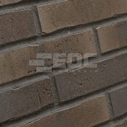 Клінкерна фасадна плитка R745 NF14 240x14x71