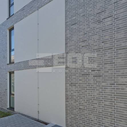 Клинкерная фасадная плитка R764 LDF14 290x52x14