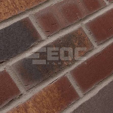 Клінкерна фасадна плитка R769 LDF14 290x52x14
