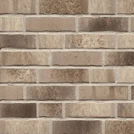 Клінкерна фасадна плитка R773 LDF14 290x52x14