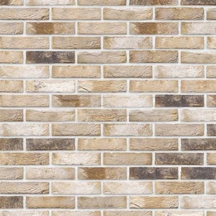 Кирпич ручной формовки Vandersanden 81 Ligure WF-S 214x72x50