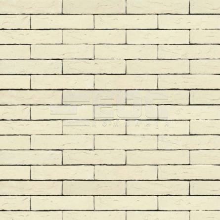 Кирпич ручной формовки NELISSEN Wit 210x100x50