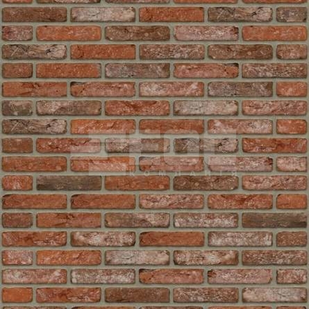 Цегла ручного формування Rijswaard Boise HV 210x100x50