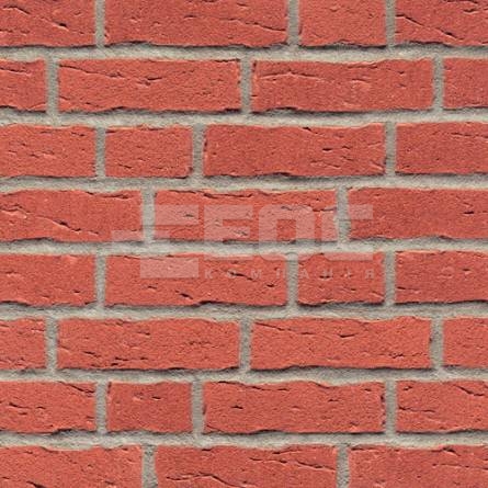 Клинкерная фасадная плитка R694 NF11 240x71x11