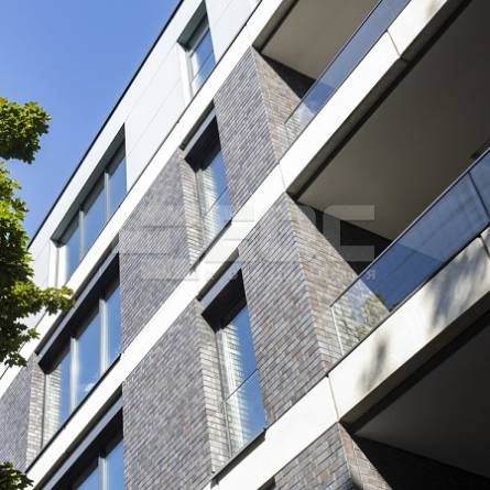 Клінкерна цегла Vandersanden 458 Chemnitz WF 210x100x50