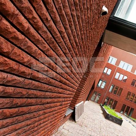 Фасадна плитка ручного формування 2 Rotbraun Bunt BS 215x22x65