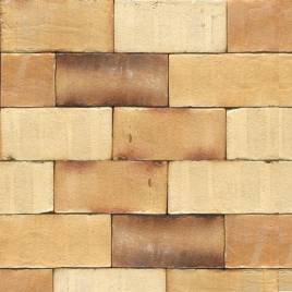 Тротуарна клінкерна бруківка 35KS Creme Nuanciert Kohle Spezial 200x100x52
