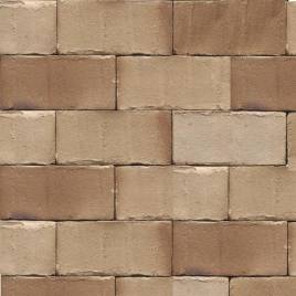 Тротуарна клінкерна бруківка 36KS Silbergrau Nuanciert Kohle Spezial 200x100x52
