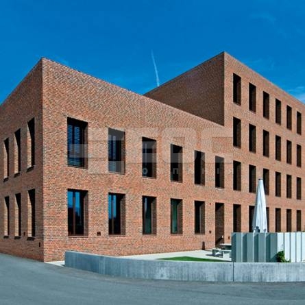 Цегла ручного формування Roben Wasserstrich світло-червона строката NF 240х115х71