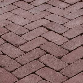 Тротуарна плитка Цегла Антик 200х100х60 Червоний 